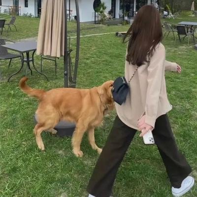 鬣狗式生存日版